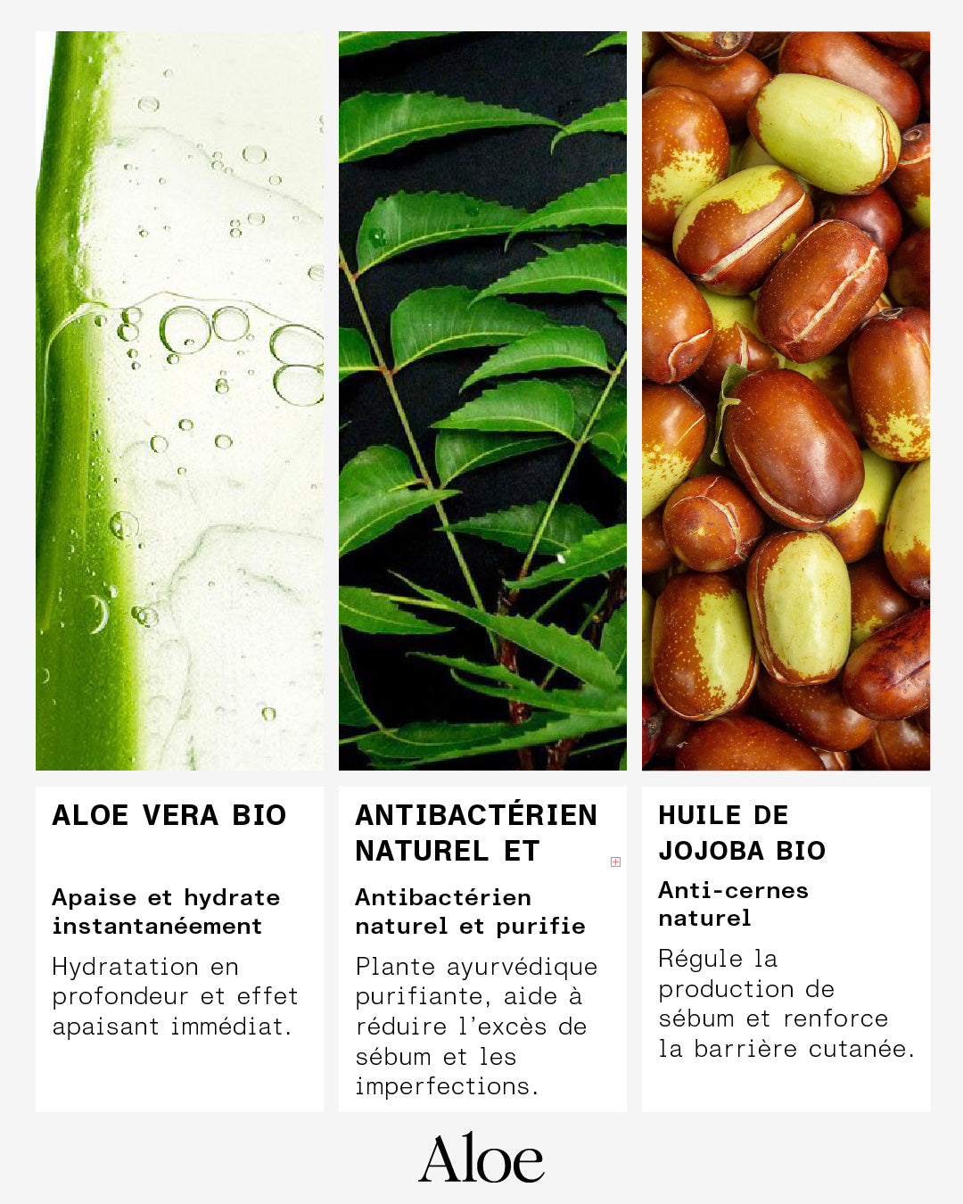 007 - Gelée Exfoliante
