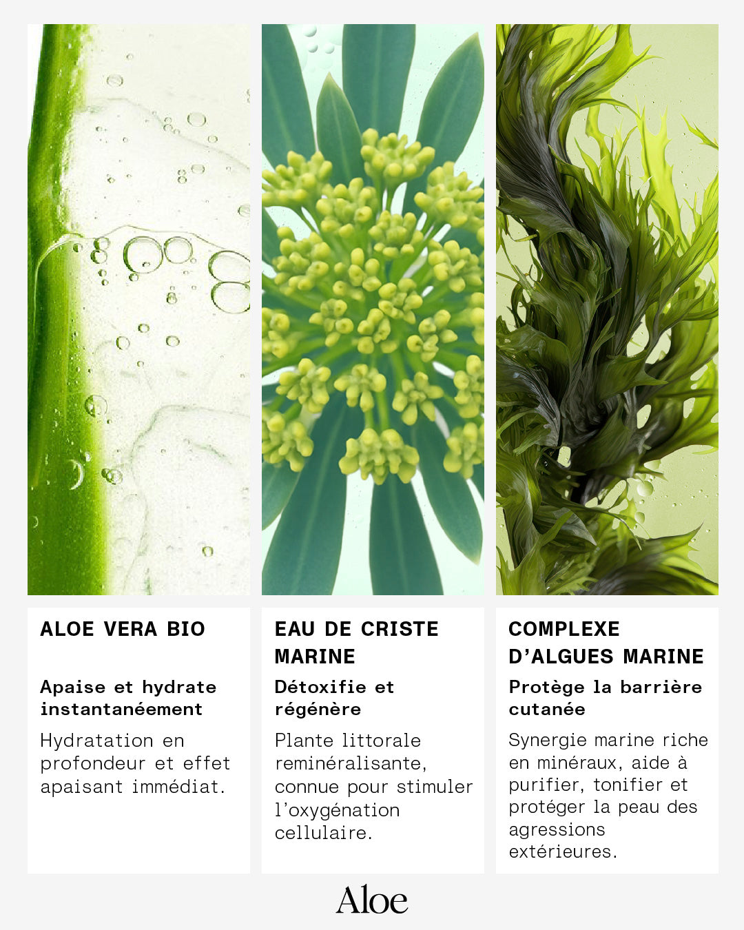 001 - Granité Démaquillant